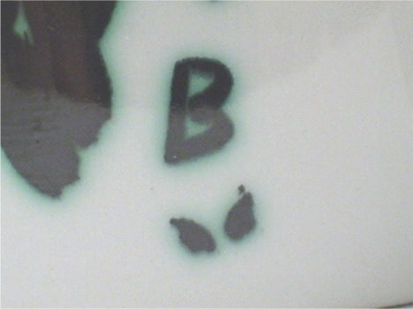 1988d.jpg